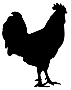 Poultry.svg